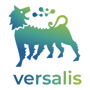 Eni Versalis Logo PNG Vector SVG AI EPS CDR