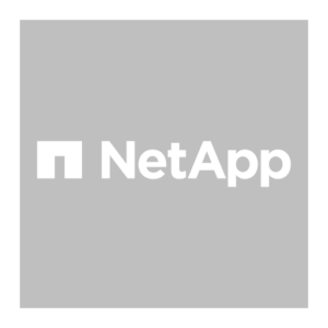 NetApp Logo White 2013 PNG Vector SVG AI EPS CDR